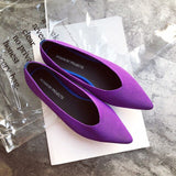 Pointed Toe flats Ladies flat Shoes Comfortable Ballet Knit De Mujer Loafers Autumn Gestante Boat Shoes Soft Bottom Women's Shoe - ENSEIGNE DENIS