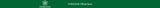 STEELDIVE Brand SD1993 Bi-directional Ceramic Bezel 41MM Case Sapphire Glass BGW9 Luminous 300M NH34 Mechanical Men Dive Watches