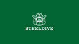 STEELDIVE SD1993 White Dial 60 Clicks Ceramic Bezel 41MM Case Sapphire Glass BGW9 Luminous 300M NH34 Mechanical Men Dive Watches