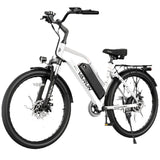 VARUN CITY CRUISER 500W Motor Electric Bicycle，Adult E-Bike,48V7.8AH Battery Man's Electric Bike，26 lnch Tire Mountain E-Bike