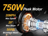 Electric Bike 750W Peak Motor 48V15AH Removable Lithium Battery Aldult Foldable E Bike LCD Display 14-inch Tire Electric Bicycle