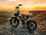 AMYET V9-G60 Adults Electric Bike 1000W Motor Bicycle 48V 20AH 20“ Tire Ebike Electric E Bikes Mountain Moped Ebikes For Men