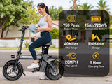 Electric Bike 750W Peak Motor 48V15AH Removable Lithium Battery Aldult Foldable E Bike LCD Display 14-inch Tire Electric Bicycle