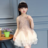 Girls' Summer Lovely Lace Multi Layers Tulle Ball Gown Dress Princess Dress