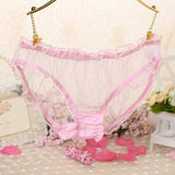 Sexy See Through Mesh Women Low Rise Briefs Underwear Panties Gift Charm