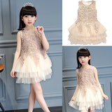 Girls' Summer Lovely Lace Multi Layers Tulle Ball Gown Dress Princess Dress