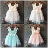 Baby Beautiful Princess Party Pearl Lace Tulle Flower Gown Fancy Dress