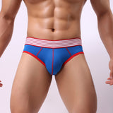 Sexy Men Bulge Pouch Elastic Low Waist Underwear Briefs Fashion Soft Underpants