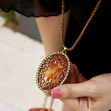 Women Vintage Amber Hollow Pendant Necklace Sweater Long Chain Jewelry Gift
