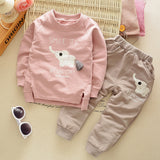 Lovely Elephant Pattern Children Boys Long Sleeve Hoodie Top Pants Outfit Set