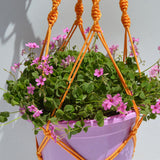 Hand-weaved Garden Hanging Plant Flower Pot Holder Basket Rope Bonsai Hanger