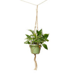 4 Legs Macrame Natural Plant Hanger Planter Basket Holder for Garden Balcony