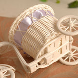 Tricycle Bike Flower Basket Plant Stand Holder Wedding Party Home Tabletop Decor