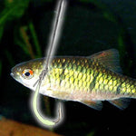 30pcs Fishhooks Night Light Hooks Outdoor Sports Luminous Fishing Tackle Fishhook