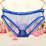 Sexy See Through Mesh Women Low Rise Briefs Underwear Panties Gift Charm
