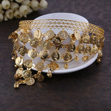 Women Headwear Belly Dance Accessories Costume Dancing Sequins Hair Band