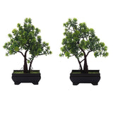 2 Trunk Bonsai Trees Combo with Flowery Green Leaves
