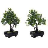 2 Trunk Bonsai Trees Combo with Flowery Green Leaves