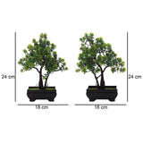 2 Trunk Bonsai Trees Combo with Flowery Green Leaves