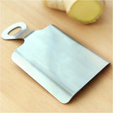 Lemon Zester Kitchen Cook Tool Garlic Grater Ginger Press Crusher Spice Grinder