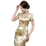 Ethnic Vintage Women Chinese Dragon Phoenix Embroidery Long Slim Cheongsam Dress