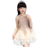 Girls' Summer Lovely Lace Multi Layers Tulle Ball Gown Dress Princess Dress