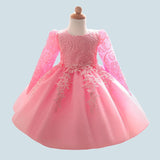 Autumn and winter new baby dress, hundred days of age lace wedding