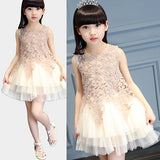 Girls' Summer Lovely Lace Multi Layers Tulle Ball Gown Dress Princess Dress