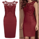Women Sexy Hollow Lace Embroidery Slim Bodycon Zip Party Mini Dress Clubwear - ENSEIGNE DENIS