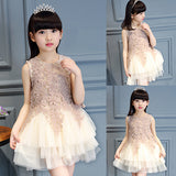 Girls' Summer Lovely Lace Multi Layers Tulle Ball Gown Dress Princess Dress