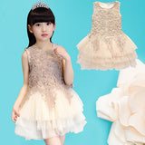 Girls' Summer Lovely Lace Multi Layers Tulle Ball Gown Dress Princess Dress