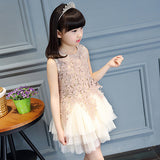 Girls' Summer Lovely Lace Multi Layers Tulle Ball Gown Dress Princess Dress