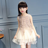 Girls' Summer Lovely Lace Multi Layers Tulle Ball Gown Dress Princess Dress