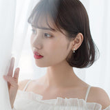 S925 silver earrings