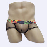 Men's Fashion Sexy See-through Underpants U Convex Thin Mesh Briefs Underwear