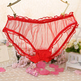 Sexy See Through Mesh Women Low Rise Briefs Underwear Panties Gift Charm