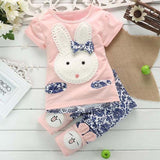 Baby Girls Bunny Embroidered Short Sleeve Suit Set