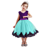 Flower Girls Tutu Dresses Fancy Rainbow Princess