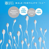 Fertility Tea For Men: 40 Cups