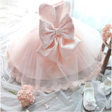 Tulle Lace Dress for Little Baby Girls for Wedding