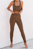 Women Brown Cheetah Print Sport Bra Pants Set