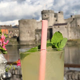 Sorbos Edible Straws