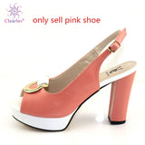 New Arrival Italian Shoes with Matching Bags Set Decorated with Rhinestone Women Shoes and Bags To Match Set Italy Party Pumps - ENSEIGNE DENIS