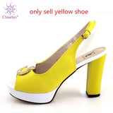 New Arrival Italian Shoes with Matching Bags Set Decorated with Rhinestone Women Shoes and Bags To Match Set Italy Party Pumps - ENSEIGNE DENIS