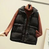 2019 Women Sleeveless Vest Winter Warm Plus Size 2XL Down Cotton Padded Jacket Female Veats Mandarin Collar Sleeveless Waistcoat - ENSEIGNE DENIS