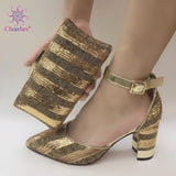 Sliver shining crystal Italian shoes with matching bag lady matching shoe and bag Sets Italy African shoes and bag set for party - ENSEIGNE DENIS