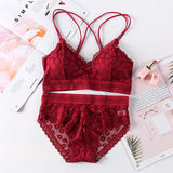 Women Lace Bra Sets Seamless Underwear Backless Vest Sexy Panties Padded Bralette Lingerie Ultrathin Briefs Female Intimates #F - ENSEIGNE DENIS