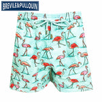 2020 Brand Brevile pullquin Beach Board Shorts Men Turtles Swimwear Flamingo Penguin Pineapple Man Boardshorts Quick Dry M-XXXL - ENSEIGNE DENIS