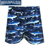 2020 Brand Brevile pullquin Beach Board Shorts Men Turtles Swimwear Flamingo Penguin Pineapple Man Boardshorts Quick Dry M-XXXL - ENSEIGNE DENIS