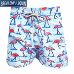 2020 Brand Brevile pullquin Beach Board Shorts Men Turtles Swimwear Flamingo Penguin Pineapple Man Boardshorts Quick Dry M-XXXL - ENSEIGNE DENIS